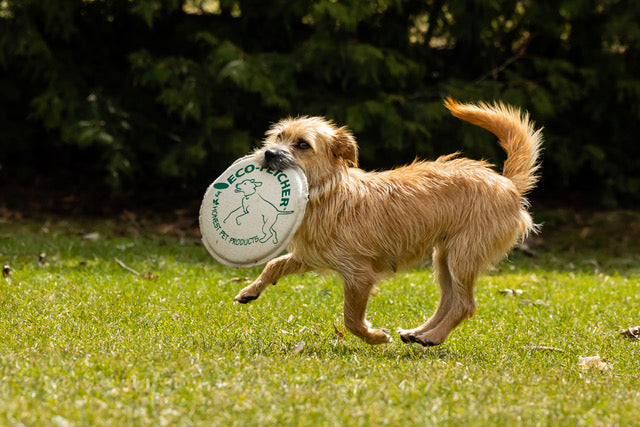 Honest Pet Products