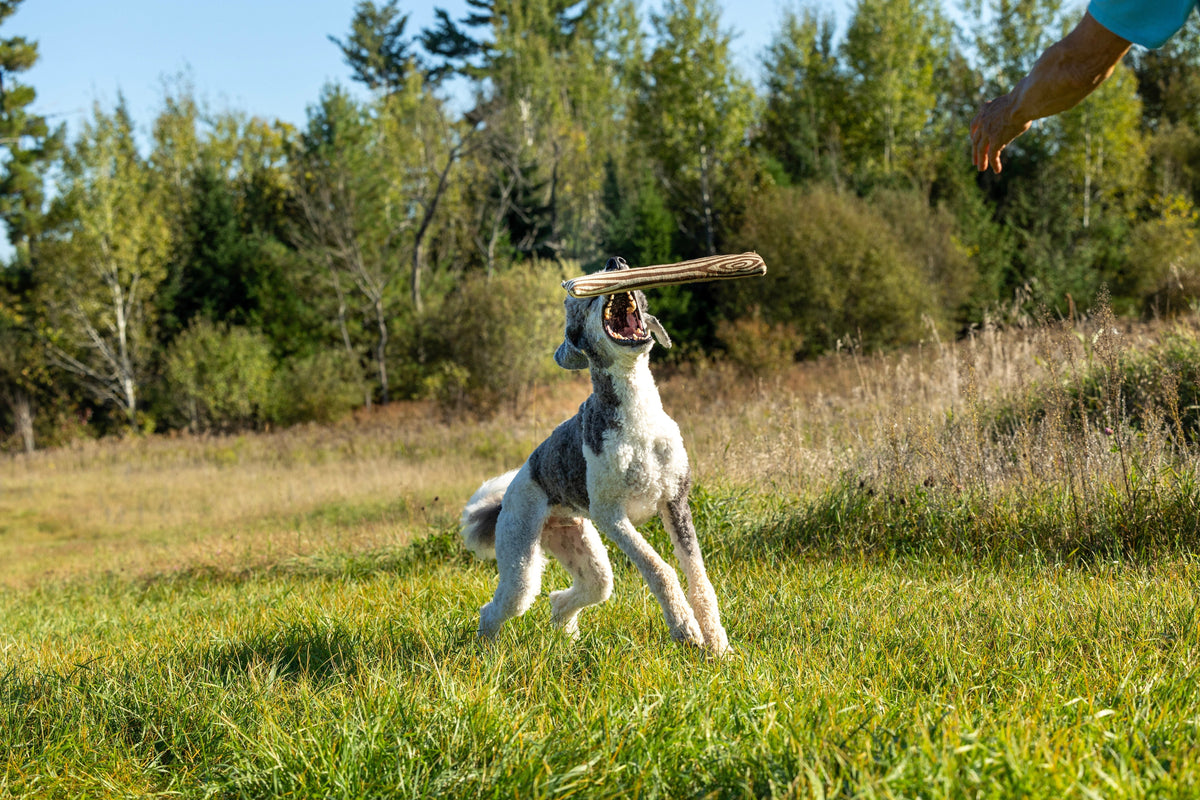 Why Handmade Matters More Than Ever in 2025: The Story Behind Our Toys - Honest Pet Products