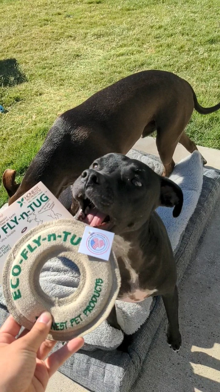 Honest Pet Products