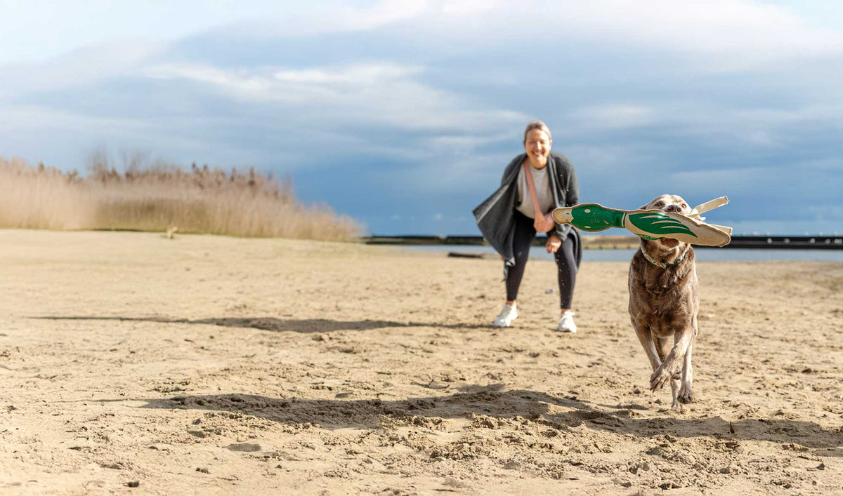Water & Floating Toys - Honest Pet Products