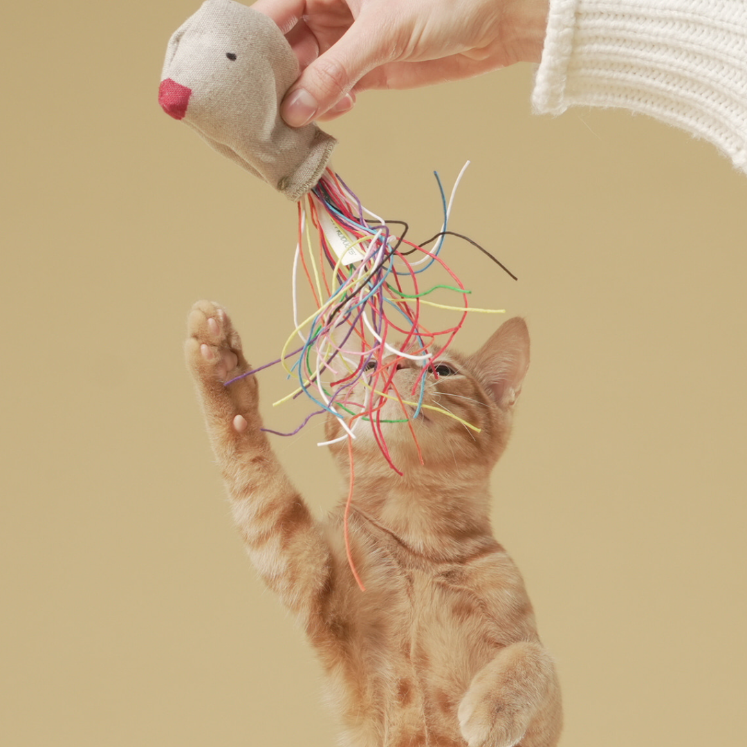 ECO-KITTY BIRD - Honest Pet Products