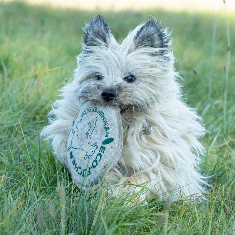 ECO-FETCHER - Honest Pet Products