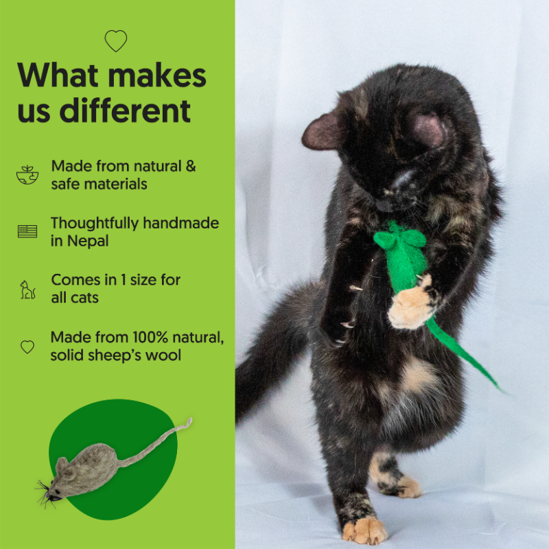 ECO-POUNCER - Honest Pet Products