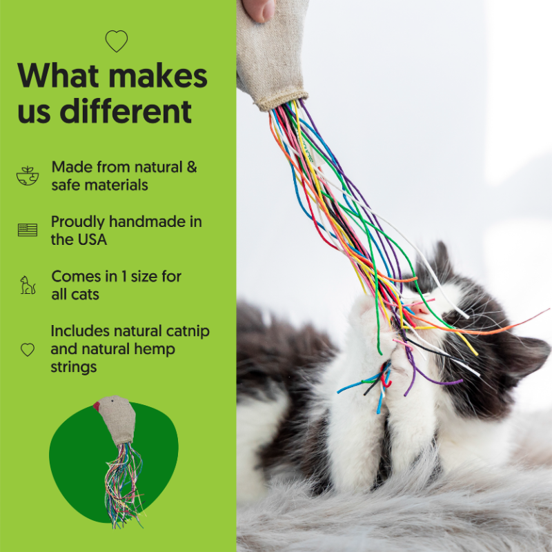 ECO-KITTY BIRD - Honest Pet Products