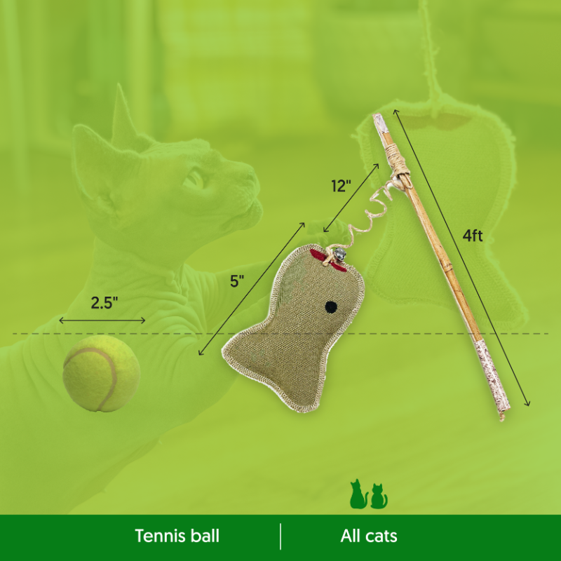ECO-CAT FISHER - Honest Pet Products