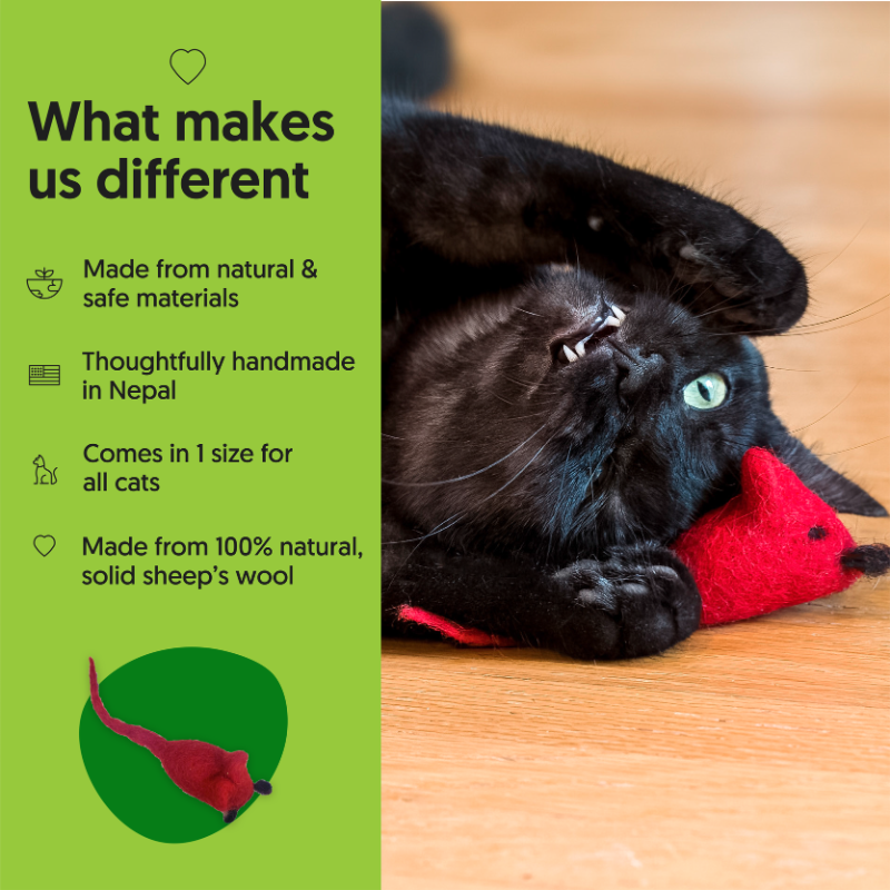 ECO-POUNCER MINI - Honest Pet Products