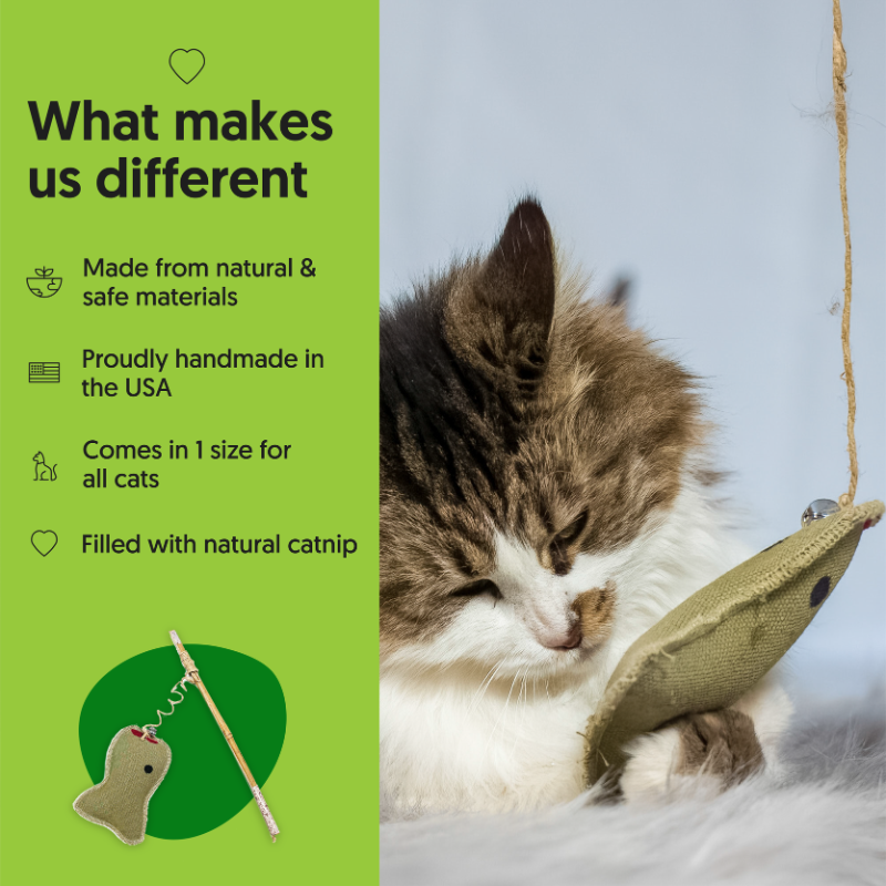 ECO-CAT FISHER - Honest Pet Products