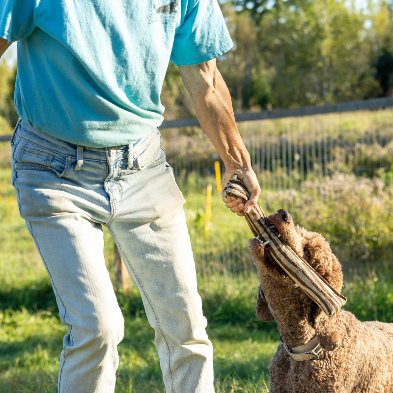 Eco Friendly Non Toxic Dog Toy - ECO-FETCHIN' STICK - Honest Pet Products