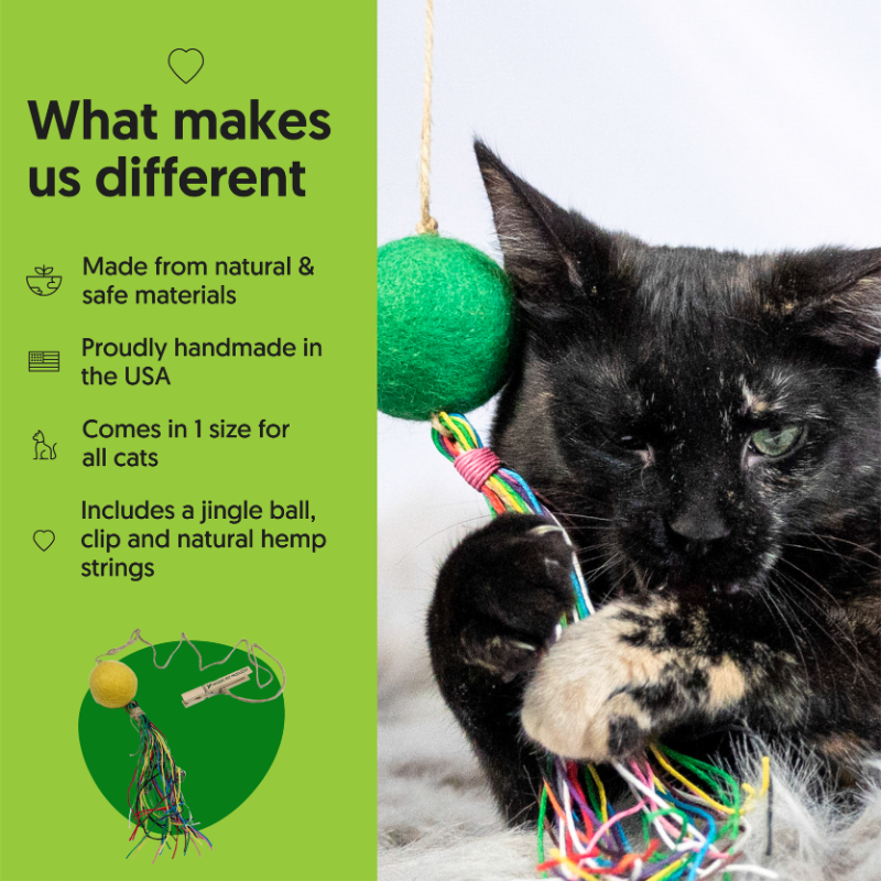 Eco-Kitty Comet: Eco-Friendly Cat Toys for Interactive Fun - Honest Pet Products