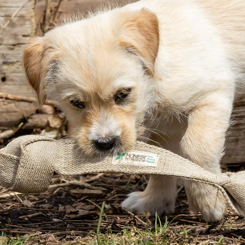 ECO-TUGGER - Honest Pet Products