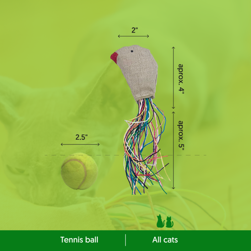 ECO-KITTY BIRD - Honest Pet Products
