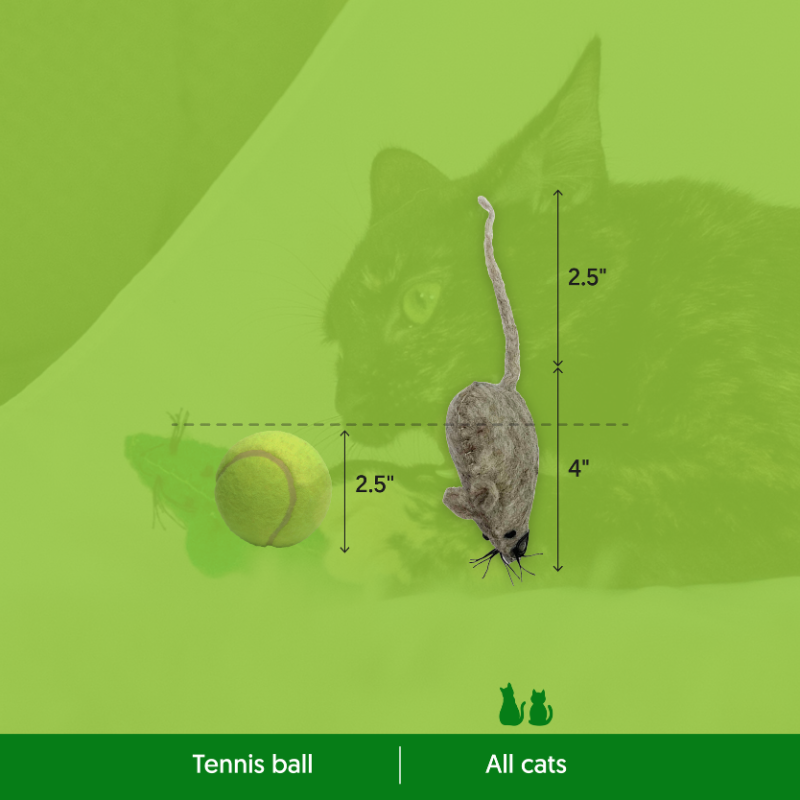 ECO-POUNCER - Honest Pet Products