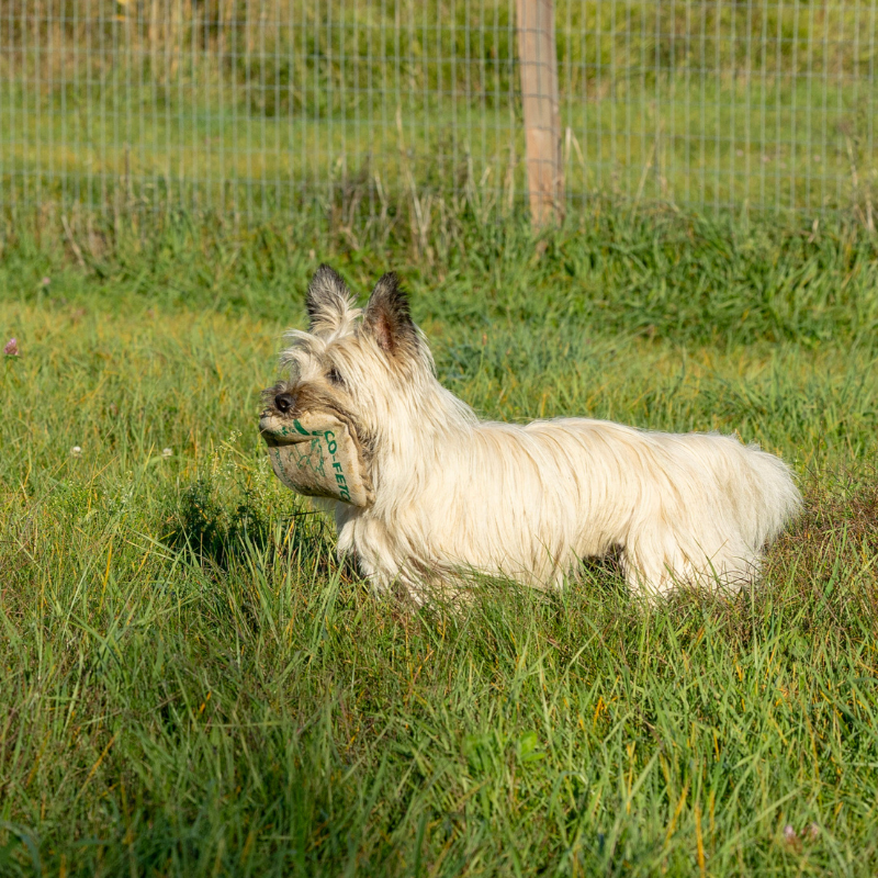 ECO-FETCHER - Honest Pet Products