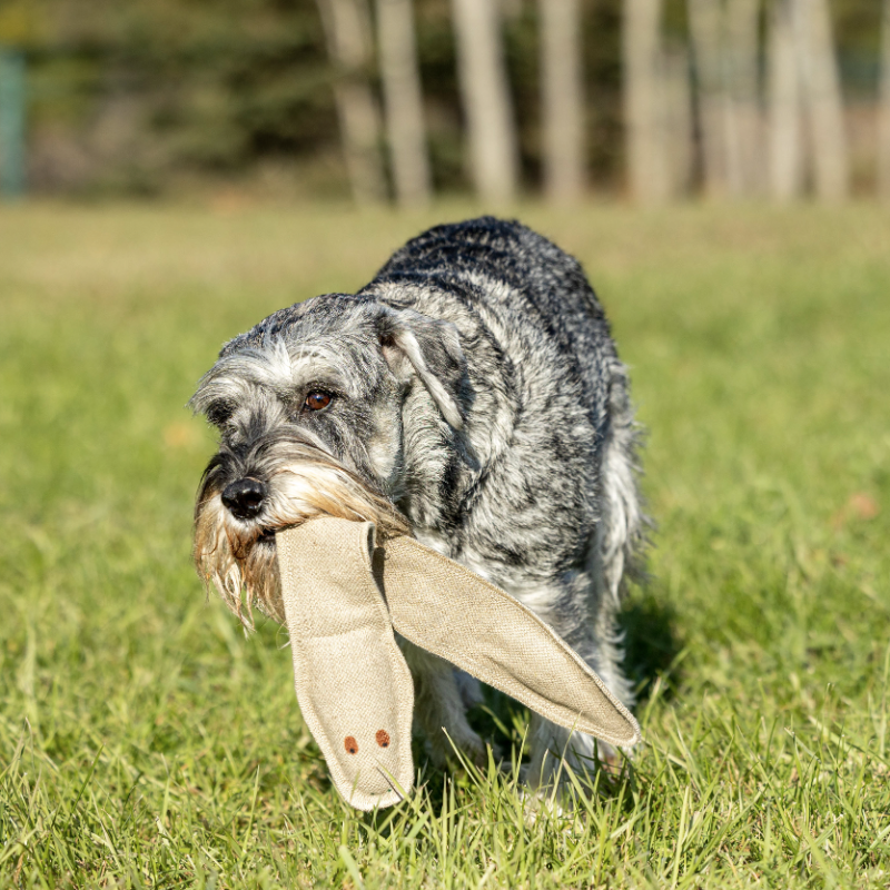 ECO-RATTLER - Honest Pet Products