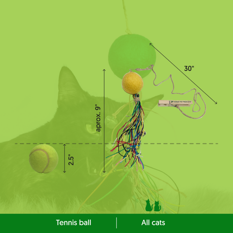 Eco-Kitty Comet: Eco-Friendly Cat Toys for Interactive Fun - Honest Pet Products