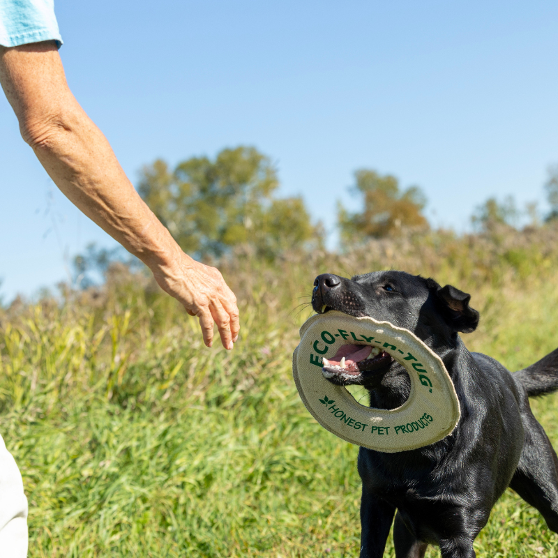 ECO-FLY-N-TUG - Honest Pet Products