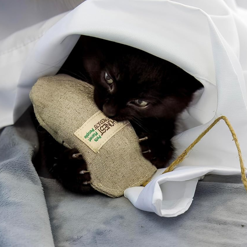 ECO-MOUSER - Honest Pet Products