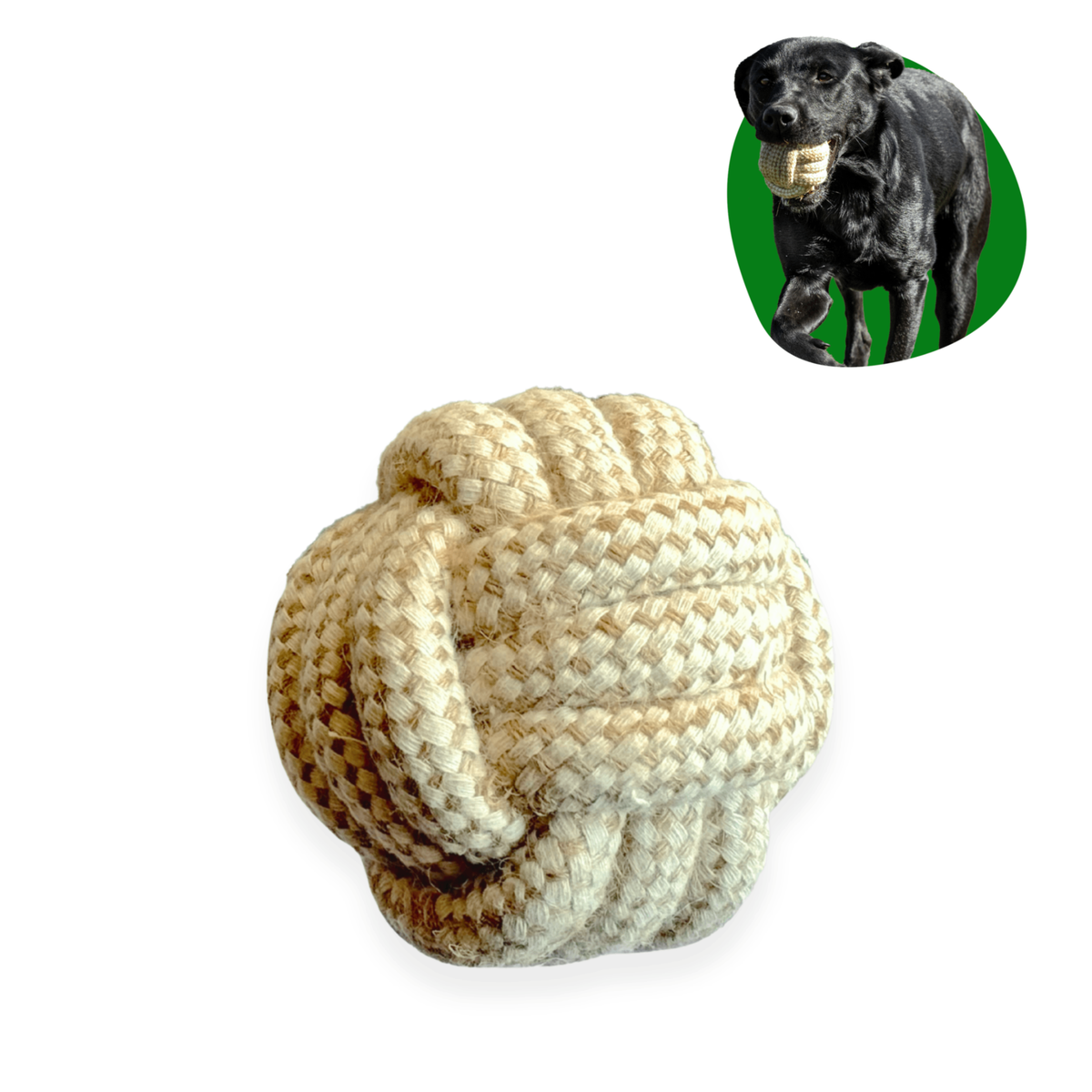 ECO-BALL - Honest Pet Products