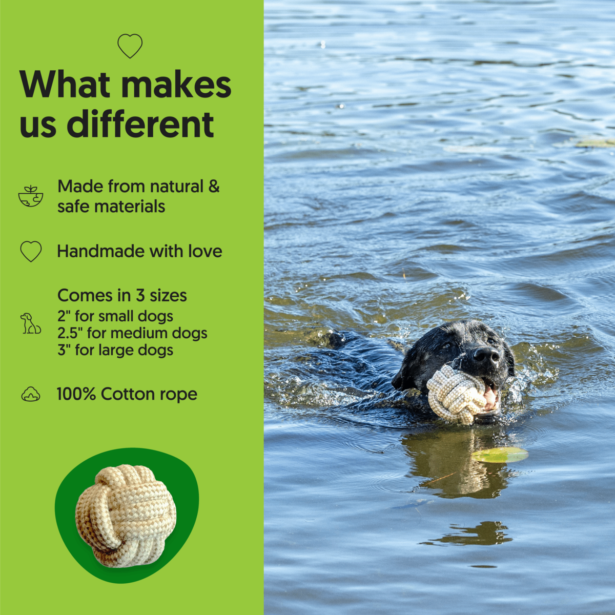 ECO-BALL - Honest Pet Products
