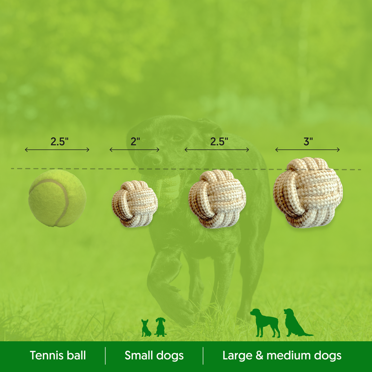 ECO-BALL - Honest Pet Products