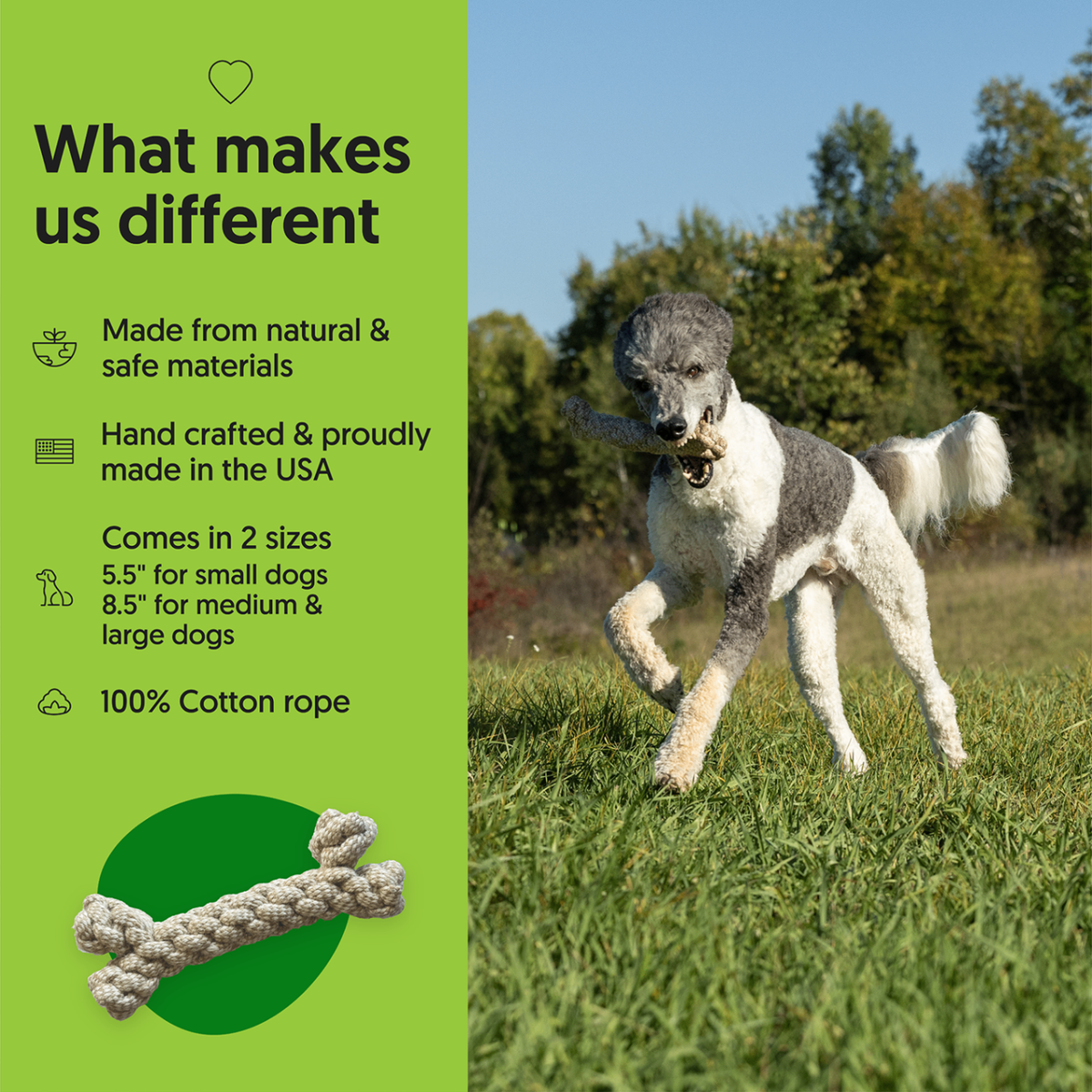 ECO-BONE - Honest Pet Products