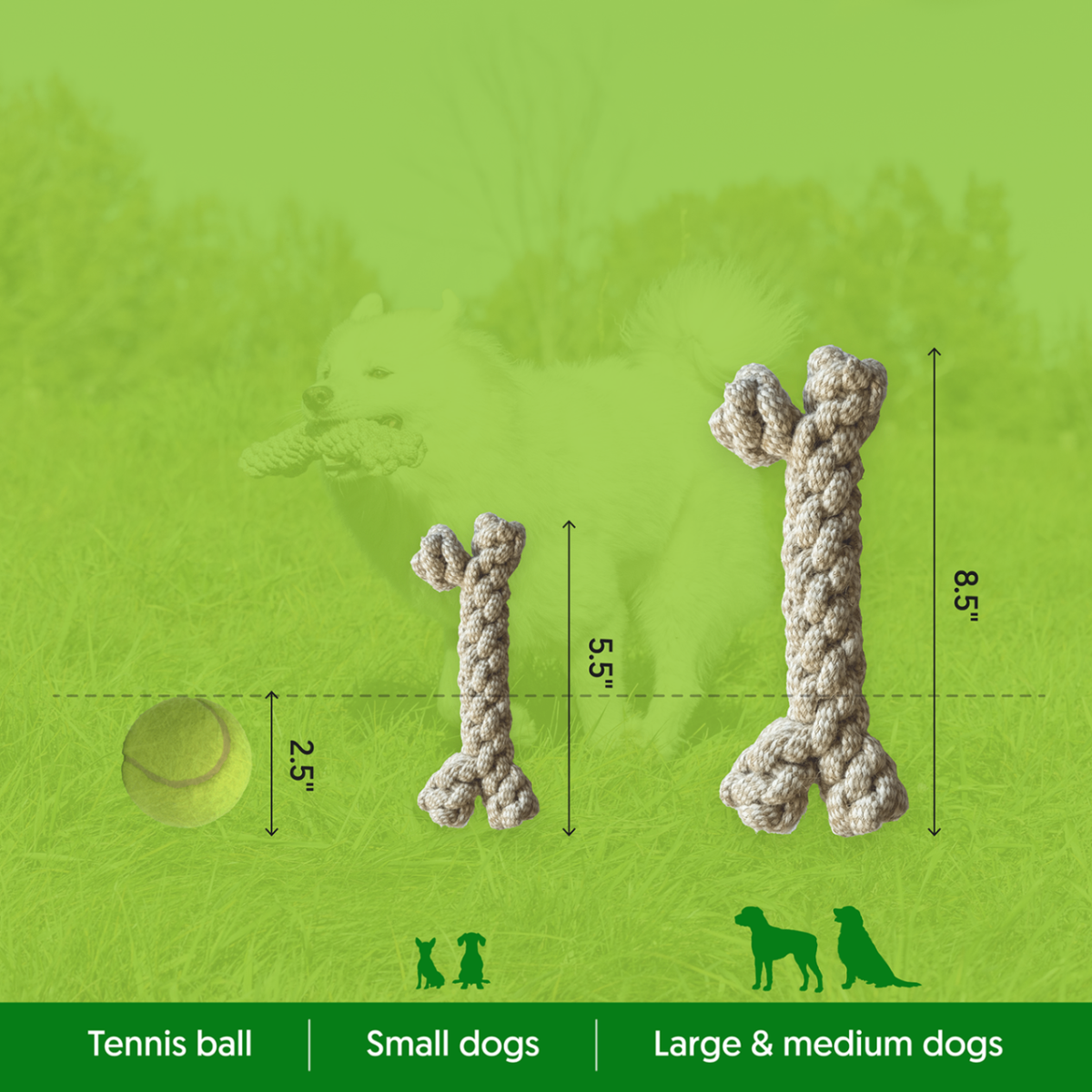 ECO-BONE - Honest Pet Products