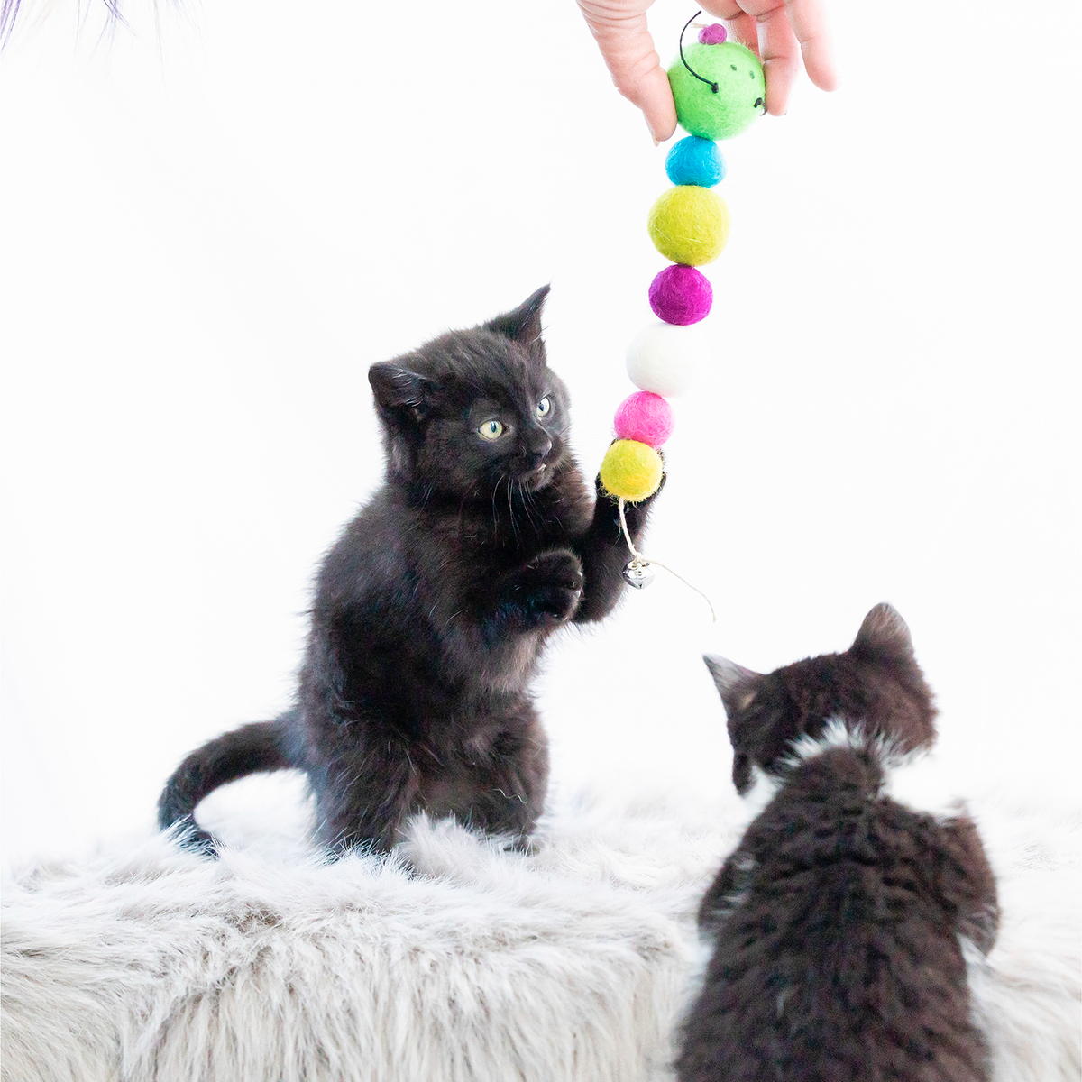 ECO-CATTY PILLAR - Honest Pet Products