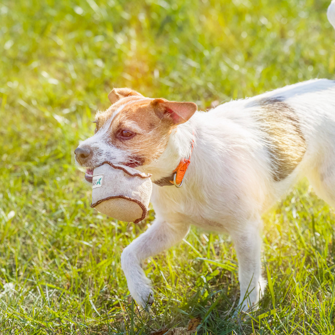 ECO-TOSSER - Honest Pet Products